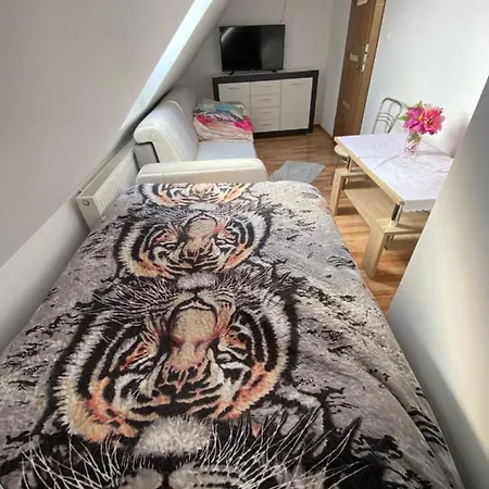 I Aga Centrum Wisła